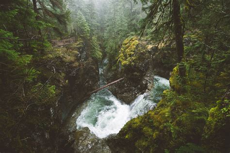 Nature Landscape Forest River Waterfall Mist Vancouver Island