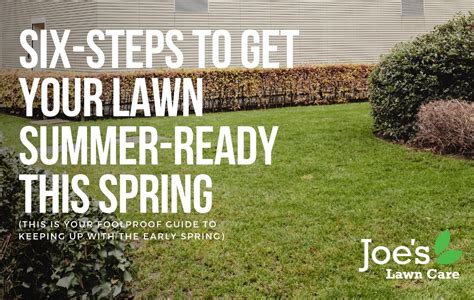 Six Steps To Get Your Lawn Summer Ready This Spring Joes Lawn Care