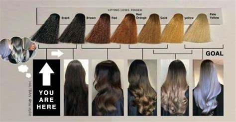 101 hair color chart guide with levels and tones explained 2022