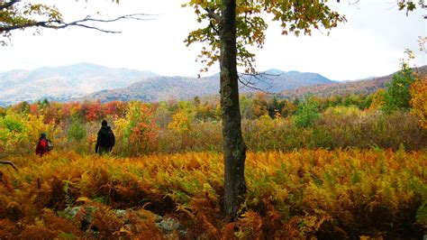 Fall Foliage Hiking Vacations In The Green Mountains Of Vermont With