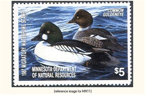 Minnesota Waterfowl Stamp 1977 Present Summary