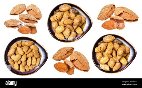 Set Of Various Almond Seeds Isolated On White Background Stock Photo