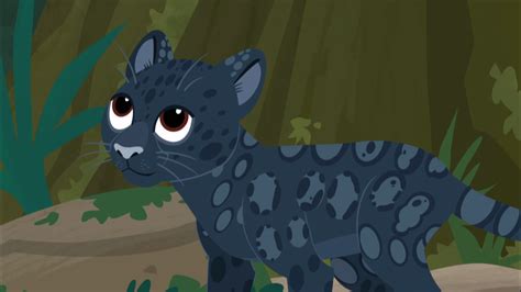 Shadow | Wild Kratts Wiki | Fandom powered by Wikia