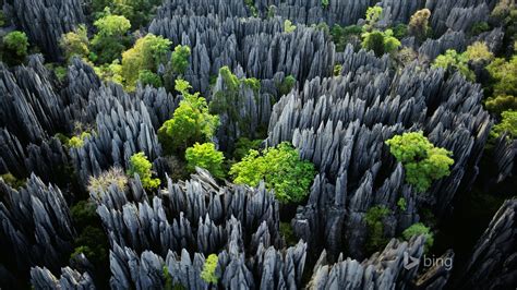 Spectacular Stone Forest 2015 Bing Theme Wallpaper Preview
