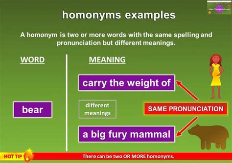 Homonyms Meaning And Examples Mingle Ish