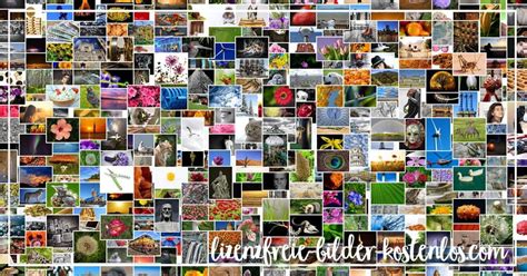 Bilder für Webseite kaufen - Lizenzfreie Fotos für die Homepage