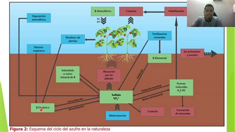 ciclo del azufre ciclos biogeoquímicos youtube