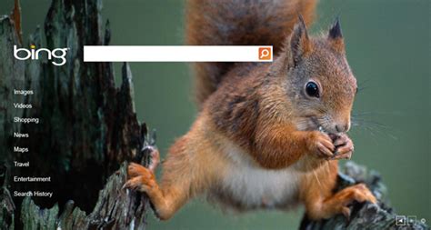 How And Why Photos Are Selected For The Bing Homepage
