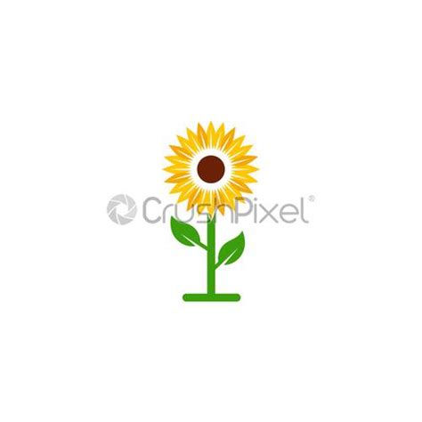 Sunflower Logo Template Nature Icon Design Vector Illustration Stock
