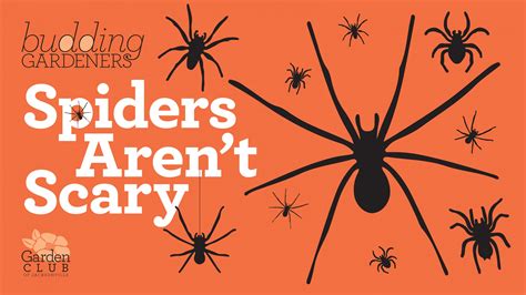 Budding Gardeners Spiders Arent Scary Garden Club Of Jacksonville