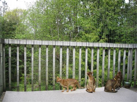 Secure Your Balcony With Cat Proof Fencing