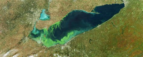 Excess nutrients flowing into Lake Erie can cause serious ...