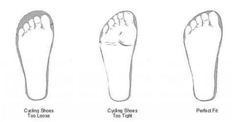 Shimano Cycling Shoes Size Chart For Both Men And Women