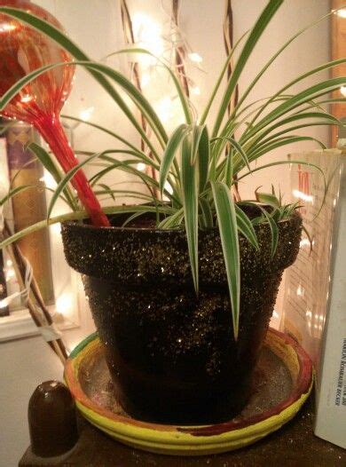 We did not find results for: Clay pot. Glitter sealed with modge podge. Interior sealed ...