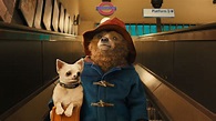 Paddington | Film-Rezensionen.de