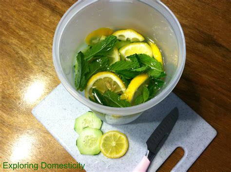 Lemon Cucumber Mint Detox Water ⋆ Exploring Domesticity