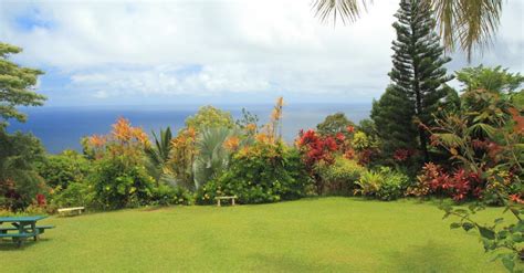 The garden of eden in lucas, ks is the oldest intact folk art environment in the united states. Garden of Eden Botanical Arboretum | Maui Hawaii