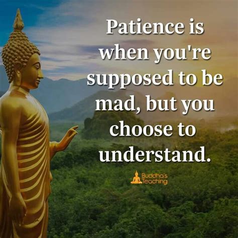 Patience Is An Understand Buddha Quote Buddha Quotes