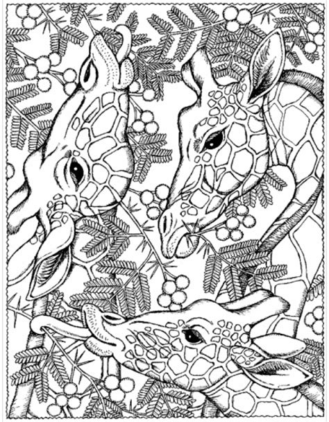 Free Adult Coloring Pages 35 Gorgeous Printable Coloring