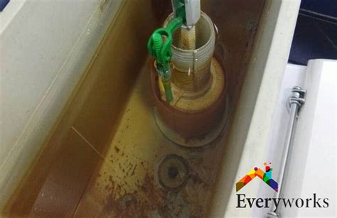 Read on for tips on how to flush the toilet when your water isn't working. How Do You Know If You Have A Toilet Flush Problem ...