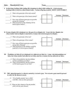 In the classical monohybrid cross each gene has two from punnett square in the offspring we have genotype ratio and probability: worksheets on monohybrid cross - Google Search | Genetics, Science lessons