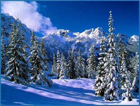 Screensaver Wallpaper Winter Download Free