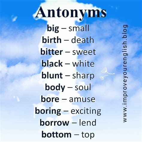 What Are Antonyms