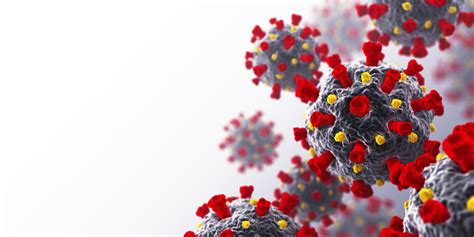 Antiviral Nasal Spray May Fight Coronavirus Study Finds Fox News