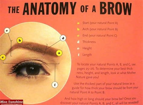 Welcome to innerbody.com, a free educational resource for learning about human anatomy and physiology. Benefit Raising Eyebrows by Cameron Tuttle Book Launch ...