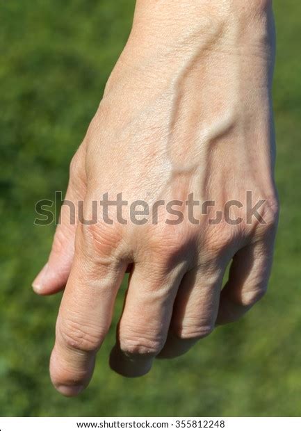 Womans Left Hand Stock Photo Edit Now 355812248