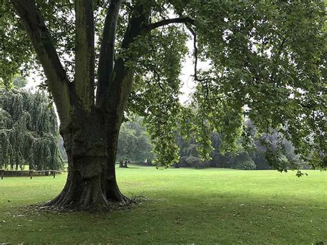 Fkk Und Nacktbaden In Frankfurt Am Main Gr Neburgpark Impressionen