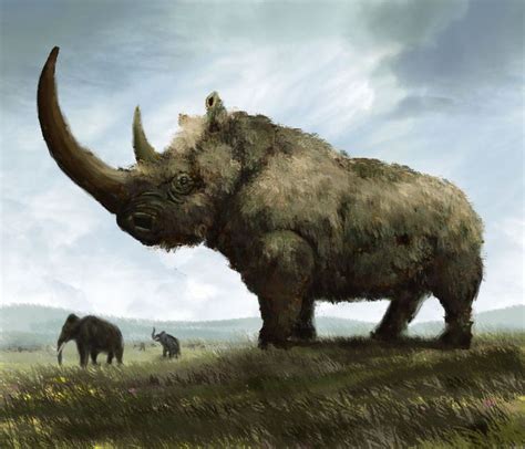 Woolly Rhinoceros By Mihin89 Ancient Animals Stone Age Animals