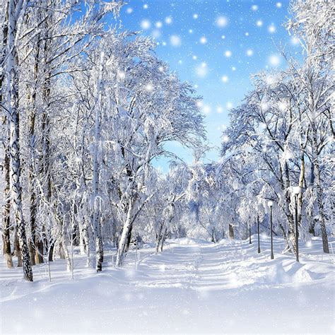 Kate 10x10ft Winter Snow Photography Background New Year Theme Photo