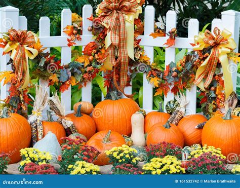 An October Halloween Scene Showing Pumpkins And Gourds Stock Photo