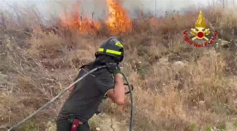 Incendi Roghi Nel Crotonese Decine Gli Interventi Dei Vigili Del Fuoco