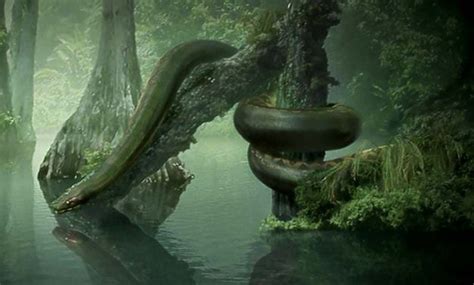 Titanoboa The Monster Snake That Ruled Prehistoric Colombia