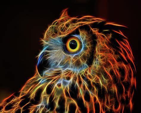 Fire Owl Digital Art By Wes And Dotty Weber Fine Art America