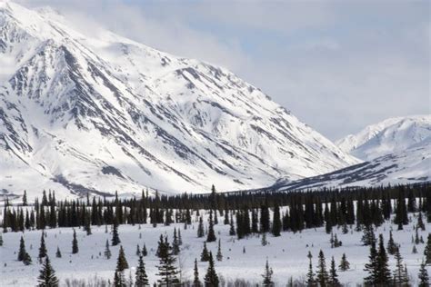 Alaska Mountains Winter Landscape With Snow And Blue Sky Stock Image