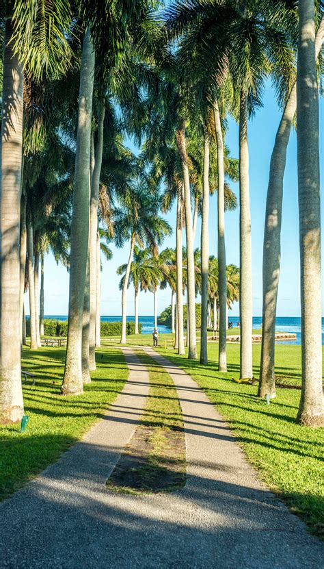 Deering Estate, Miami, Florida | Miami travel, Deering estate miami, And so the adventure begins
