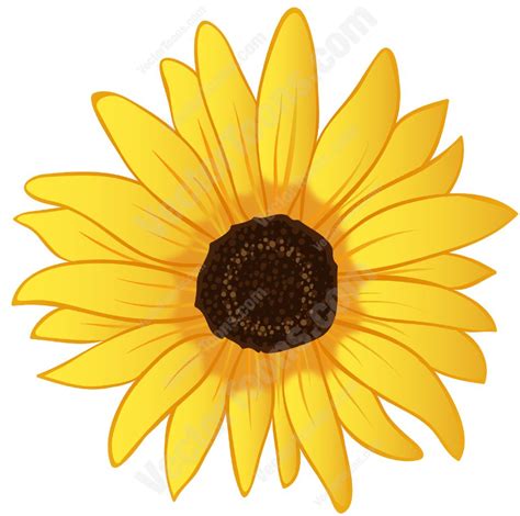 Sunflower Vector Art Clipart Best