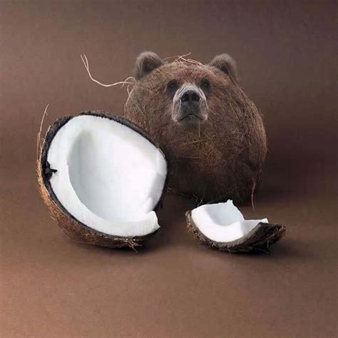 15 Funny Pictures Of Animals Edited Into Random Objects Visualchase