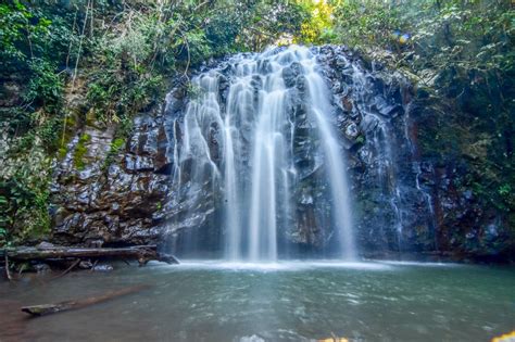 Elinjaa Falls Atherton Tablelands Australia Day Trips Trip Waterfall
