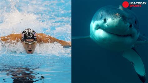 Michael Phelps Races Fake Shark And Twitter Wasnt Having It