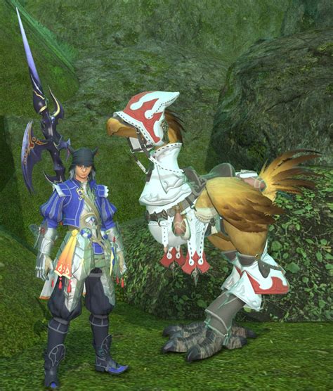 Ffxiv Chocobo Leveling Guide The Latest Ffxiv Chocobo Racing Guide