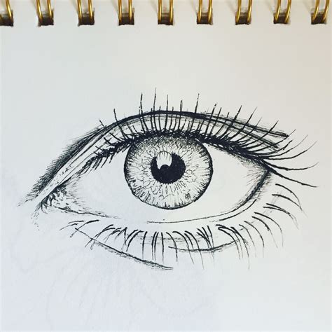 Sketch Of Human Eye Pen Art Pen Drawing Drawings