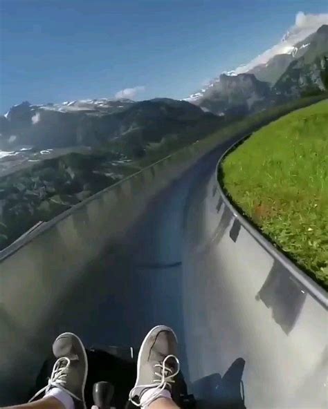The Alpine Slide In Kandersteg Switzerland Beamazed Alpine Slide