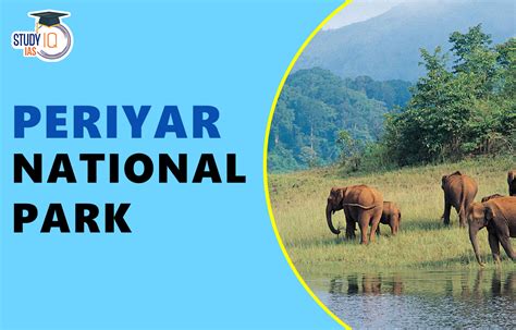 Periyar National Park Features Vegetation Flora And Fauna