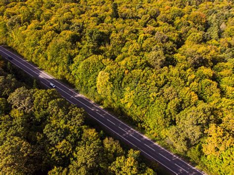 Cars Moving On Road Between Colorful Autumn Forests Aerial Drone View