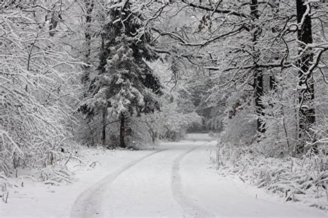 Pictures Winter Nature Snow Roads Forest Trees 600x400