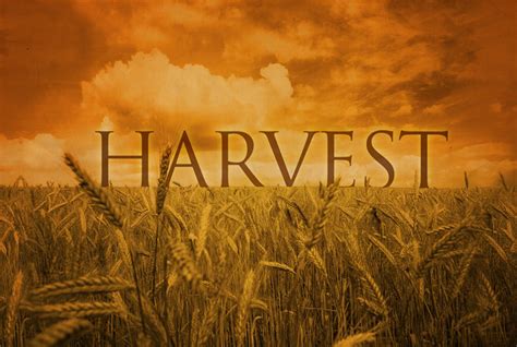 Harvest Sermons Impact Christian Church